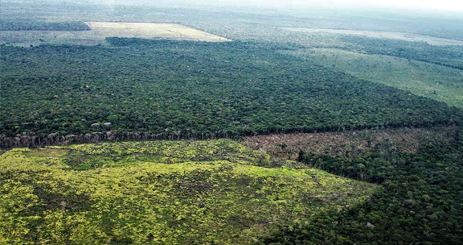 Una gran ofensiva nacional busca detener la deforestación en Colombia, y cuya primera operación se realizó en el Parque Nacional Natural de Chiribiquete. Foto: Semana.