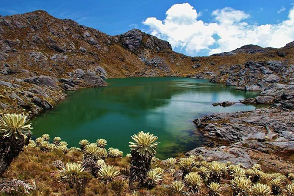 Páramo de Santurbán, ecosistema clave para la conservación hídrica y la biodiversidad de Colombia.